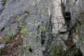 Μικρογραφία για την έκδοση της 10:06, 18 Αυγούστου 2015